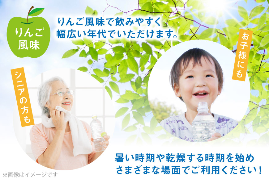 定期便 経口補水液 アクアソリタ(R)　500mL 24本入 6回 計 144本 [アールネクスト 富山県 朝日町 34310503] ドリンク 水分補給 スポーツ飲料 スポーツドリンク 熱中症対策 暑さ対策 ペットボトル まとめ買い 味の素