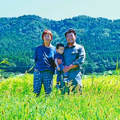 米 令和4年 コシヒカリ 玄米 10kg / いただきます / 富山県 朝日町 [34310269]