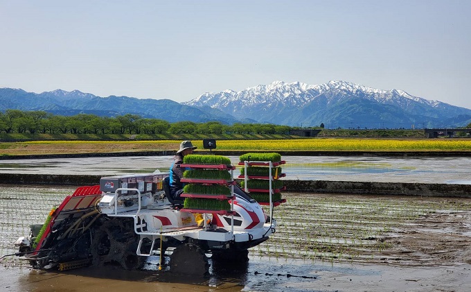 【令和3年産】北アルプスの雪解け水で育てたコシヒカリ精米10kg（5kg×2）