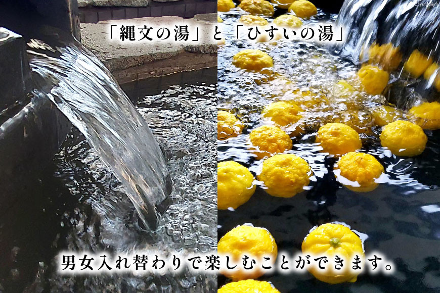 らくち～の 館内利用券 500円×6枚(3,000円分) [あさひふるさと創造社 富山県 朝日町 34310337] らくちーの 健康 風呂 入浴 フィットネス ジム プール マシン 岩盤浴