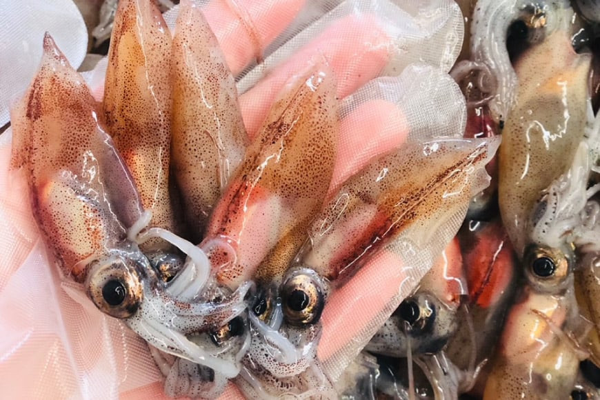 富山産 ホタルイカ 燻製 20g×3袋 [愛場商店 富山県 朝日町 34310476] ほたるいか イカ いか おつまみ 富山県産 富山 国産