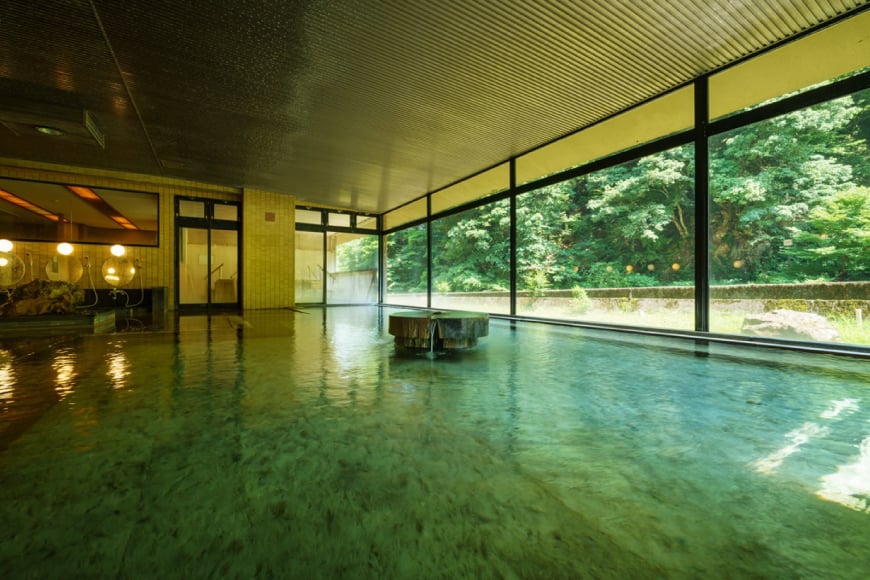 商品券 小川温泉 ホテルおがわ 1000円 1枚 [小川温泉開発 富山県 朝日町 34310497] 入浴券 宿泊 食事 旅行 温泉