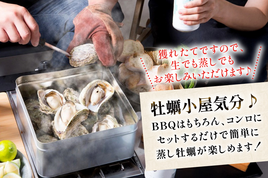 北陸産 岩牡蠣 10個 カンカン焼き セット [聖徳丸 富山県 朝日町 34310516] 牡蠣 カキ カンカン焼き牡蠣