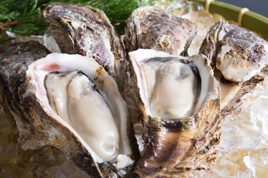 牡蠣 サザエ 各5個 水揚げ直送セット [聖徳丸 富山県 朝日町 34310517] 岩牡蠣 さざえ カキ