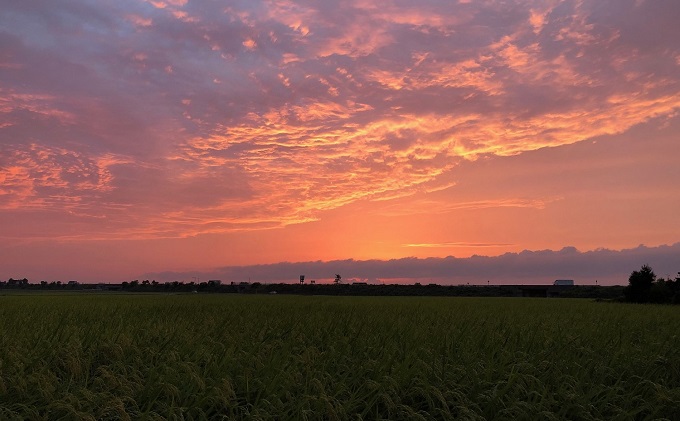 【令和3年産】黒部の恵み 富山県朝日町産くぼたのコシヒカリ 玄米10kg