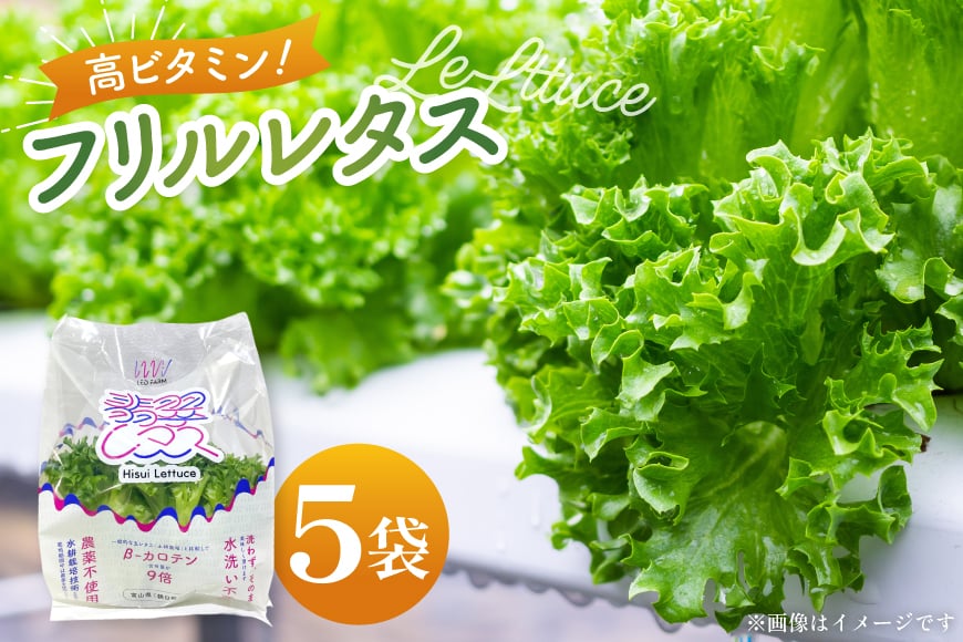 高ビタミン フリルレタス 100g 5袋 計500g [PBS 富山県 朝日町 34310474] 水耕栽培 レタス