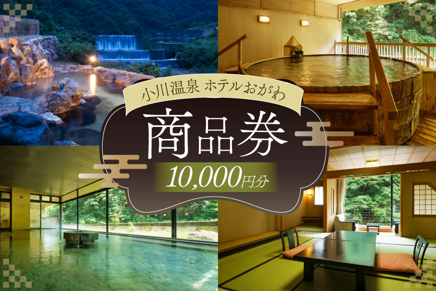 商品券 小川温泉 ホテルおがわ 1000円 10枚 計 10000円 [小川温泉開発 富山県 朝日町 34310495] 1万円 入浴券 宿泊 食事 旅行 温泉