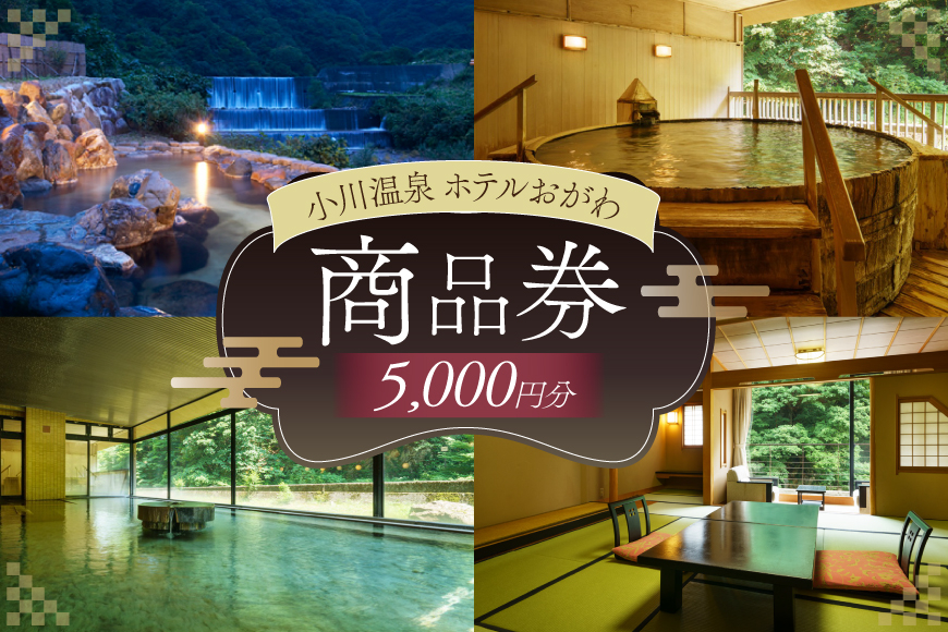商品券 小川温泉 ホテルおがわ 1000円 5枚 計 5000円 [小川温泉開発 富山県 朝日町 34310496] 入浴券 宿泊 食事 旅行 温泉