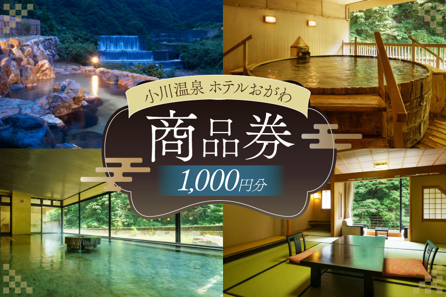 商品券 小川温泉 ホテルおがわ 1000円 1枚 [小川温泉開発 富山県 朝日町 34310497] 入浴券 宿泊 食事 旅行 温泉