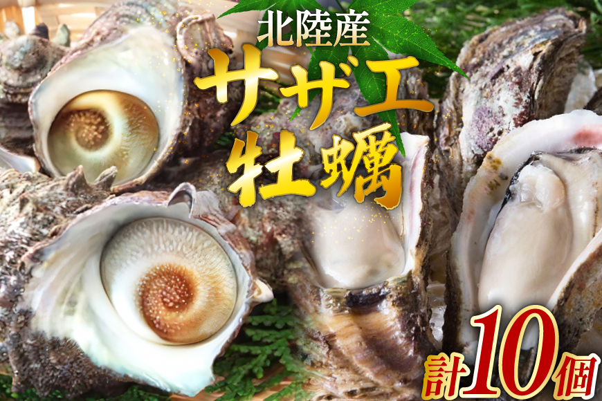 牡蠣 サザエ 各5個 水揚げ直送セット [聖徳丸 富山県 朝日町 34310517] 岩牡蠣 さざえ カキ