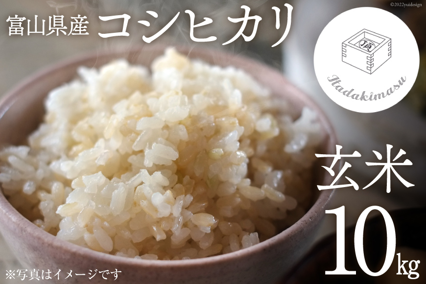 米 令和4年 コシヒカリ 玄米 10kg / いただきます / 富山県 朝日町 [34310269]