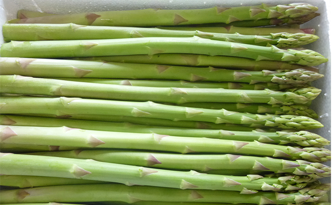 グリーンアスパラガス