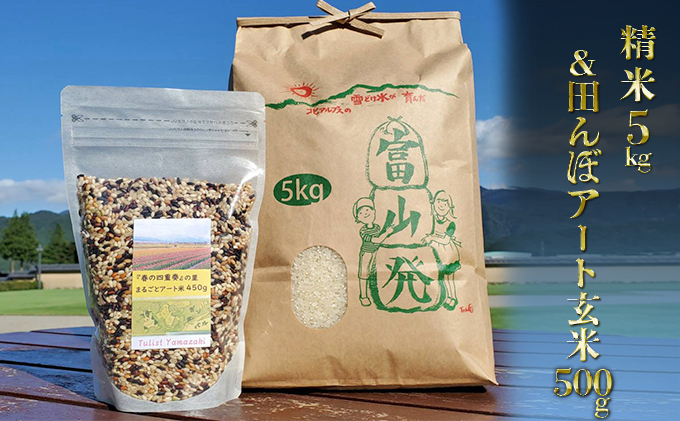 【令和3年産】富山県朝日町産コシヒカリ精米5kgと田んぼアート玄米500g詰合せ