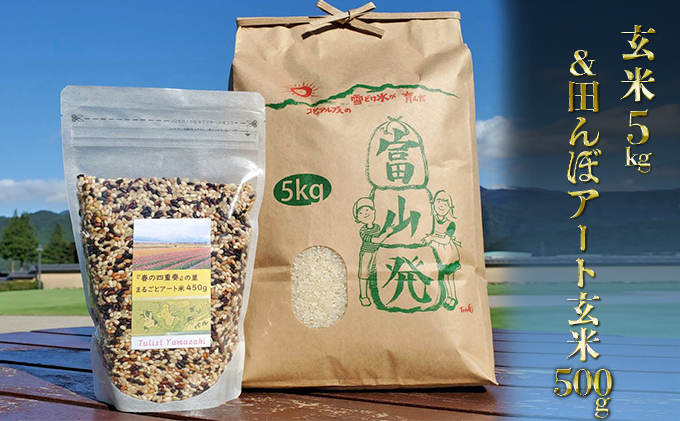 【令和3年産】富山県朝日町産コシヒカリ玄米5kgと田んぼアート玄米500g詰合せ