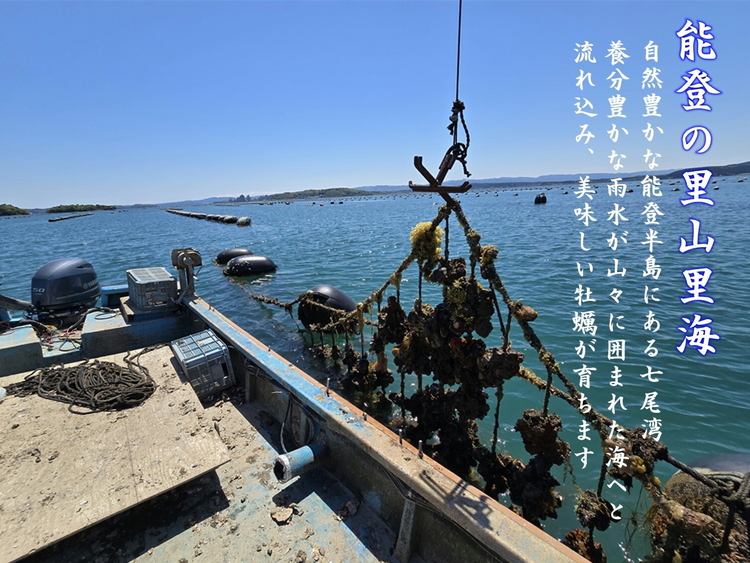 【発送時期が選べる】盛ちゃん（湯田水産） 能登牡蠣 殻付き 一斗缶（70個前後） 約11kg 加熱用 ｜ 牡蠣 カキ かき オイスター 国産 冷蔵  缶 BBQ バーベキュー キャンプ カキフライ 牡蠣鍋 海鮮 魚介 石川県 七尾市 能登 復興 復興支援 ※北海道・沖縄・離島への配送不可 ※2026年1月上旬～3月下旬頃に順次発送予定