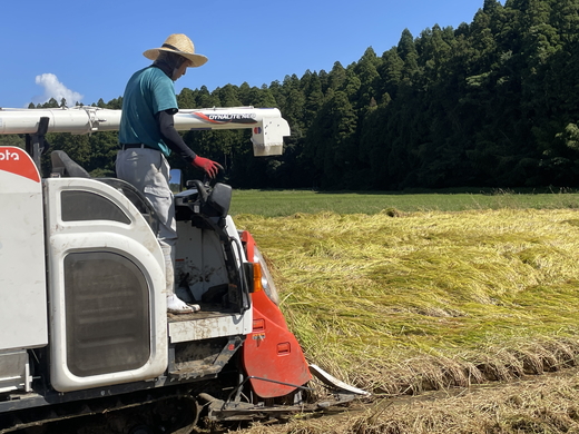 【令和7年産新米】井田農園のコシヒカリ 玄米 5kg 能登産『里山里海』の特撰米 | 石川県 七尾市 能登 コメ 米 里山里海 コシヒカリ こしひかり