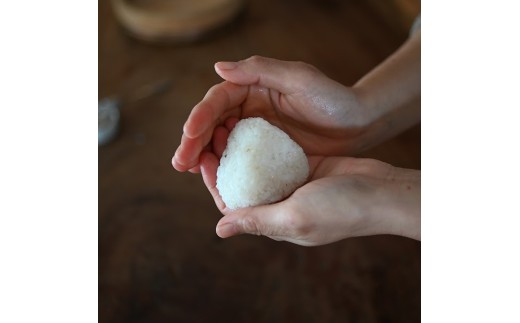 【定期便】能登島のふるさと米 コシヒカリ10kg 精米定期便 3ヶ月に1回（4回） ※2026年1月上旬～12月下旬頃に順次発送予定