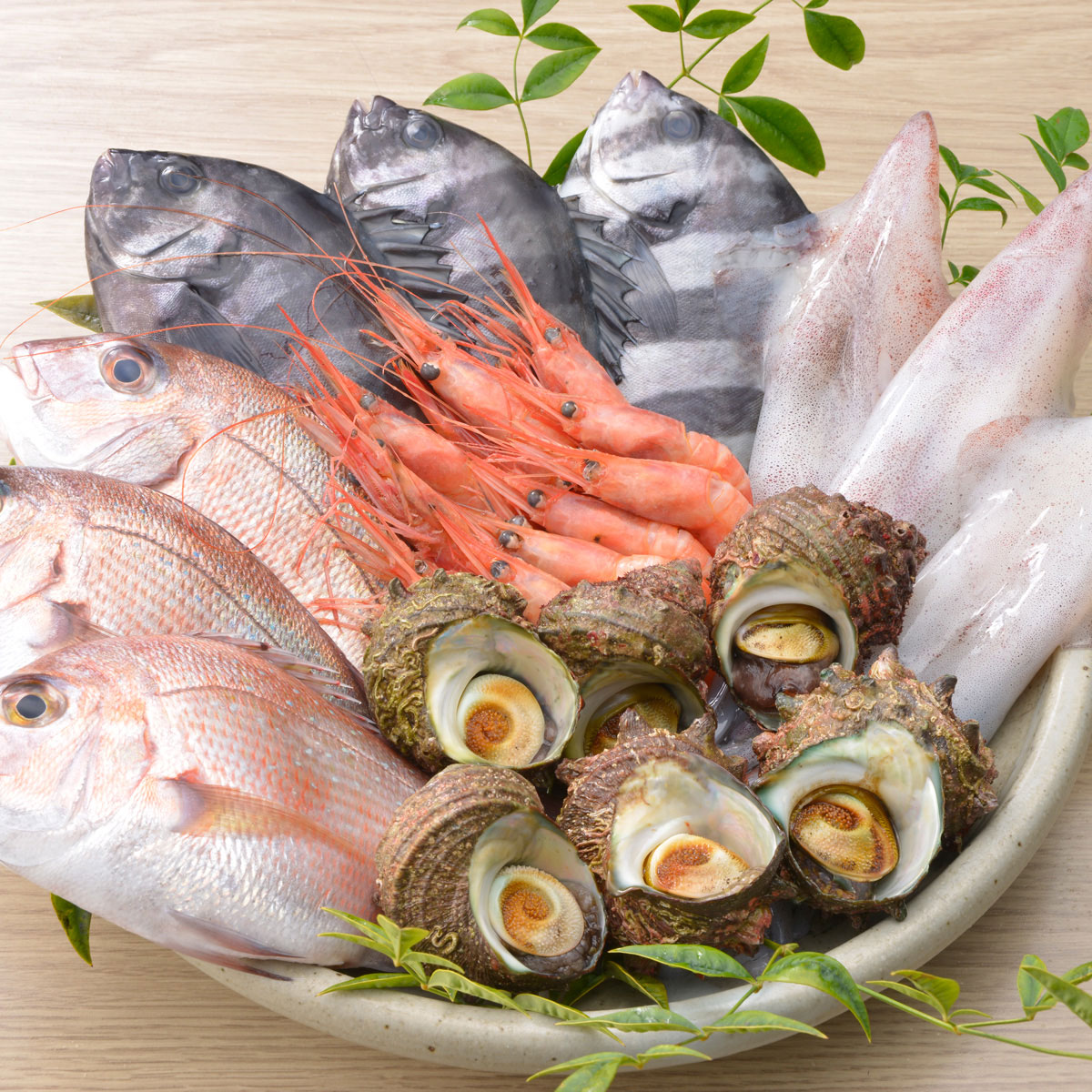 海鮮鮮魚詰め合わせセット 能登の朝どれ「いきいき七尾魚」（2～3人前）｜海鮮 魚貝類 魚介類 魚 鮮魚 詰め合わせ セット下処理済み 鯛 鰤 ブリ　鯖 サバ 鯵 アジ 海老 エビ 旬 能登 七尾市 石川県 ※2026年1月中旬頃より順次発送予定 ※北海道・青森・九州（福岡を除く）・沖縄・離島への配送不可