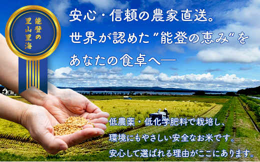 【発送時期が選べる】令和7年産  石川県能登産 こしひかり 玄米5kg （5kg×1個） 米 玄米 5kg 日本初！世界農業遺産認定「能登の里山里海」の恵み ｜石川県 七尾市 能登 コシヒカリ お米  ブランド米 復興 復興支援