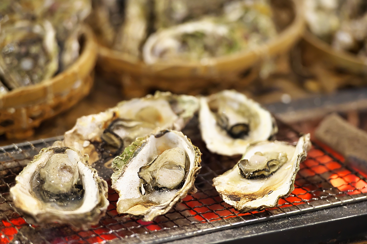 【発送時期が選べる】魚介類 牡蠣 / 能登風土 七尾産「能登かき」殻付き（一斗缶）◇｜ カキ かき オイスター 国産 加熱用 冷蔵 カンカン 缶 BBQ バーベキュー キャンプ  カキフライ 牡蠣鍋 海鮮 山口水産 石川県 七尾市 能登 復興 復興支援  ※必ずよく加熱してお召し上がりください ※離島への発送不可 ※2025年11月下旬～2026年5月上旬頃に順次発送予定