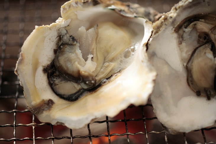 能登産 岩牡蠣（2.5kgセット／8〜10個入）専用ナイフ 片手用軍手付 加熱用 冷蔵配送 ｜ カキ かき オイスター 国産 殻付き BBQ バーベキュー キャンプ カキフライ 牡蠣鍋 海鮮 魚介 石川県 七尾市 能登 復興 復興支援※2026年6月下旬～8月上旬頃に順次発送予定 ※離島への配送不可