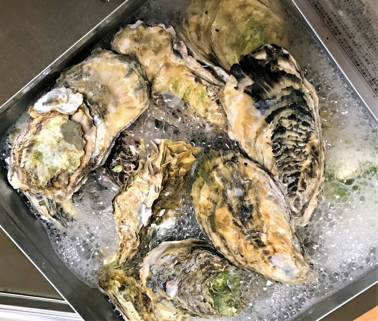 能登牡蠣のガンガン焼きセット20個(約2kg)(冷凍)(牡蠣ナイフ、片手用軍手付)