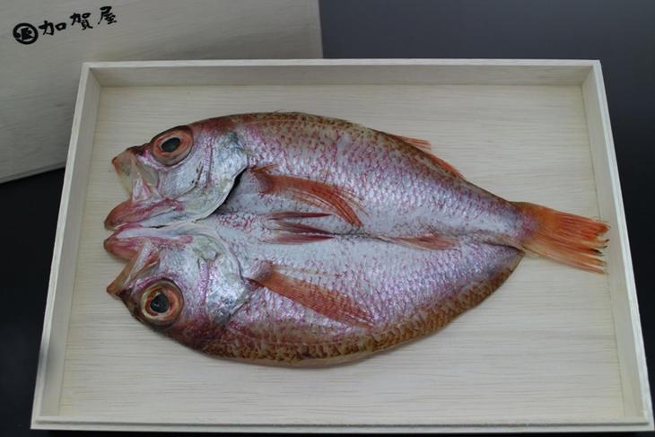 加賀屋　のどぐろ干物（塩麹）