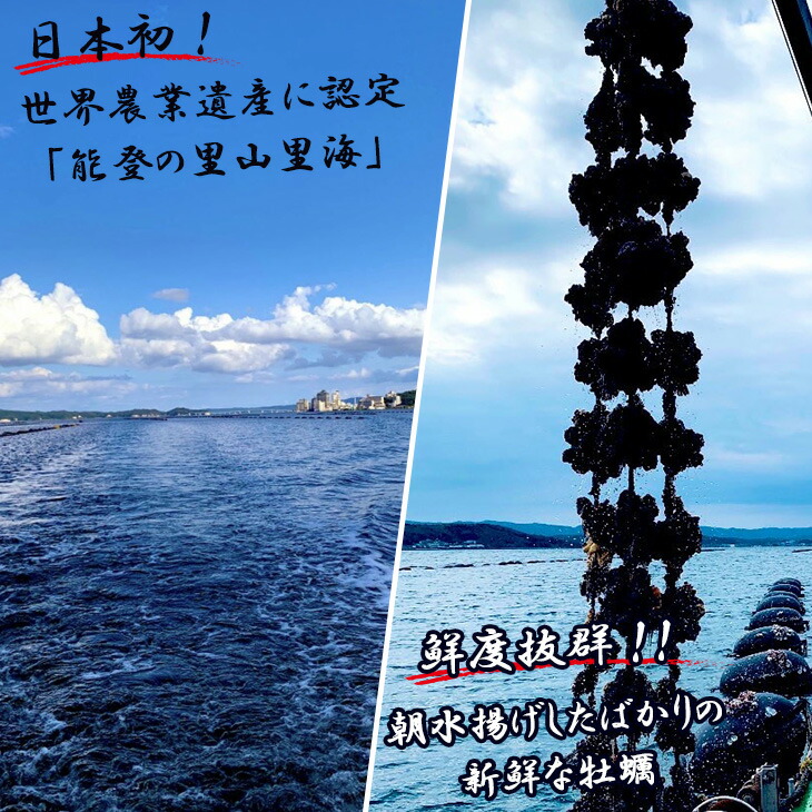 【発送時期が選べる】能登かき むき身（加熱用） 900g~1kg ｜ 牡蠣 カキ かき オイスター 国産 冷蔵 カキフライ 牡蠣鍋 海鮮 魚介 石川県 七尾市 能登 復興 復興支援 ※離島への発送不可 ※2026年1月上旬～5月上旬頃に順次発送予定