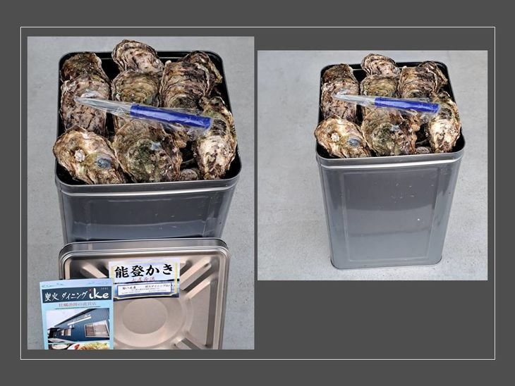 石川県七尾産　能登かき　殻付き　1斗缶（80～100個） 加熱調理用 ｜ 牡蠣 カキ かき オイスター 国産 加熱用 冷蔵 ガンガン カンカン 缶 レンチン BBQ バーベキュー キャンプ カキフライ 牡蠣鍋 海鮮 魚介 石川県 七尾市 能登 復興 復興支援 ※離島への配送不可 ※2026年1月上旬～5月下旬頃に順次発送予定