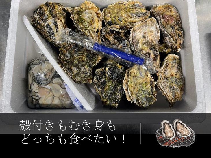石川県七尾産　能登かき むき身 殻付き セット（むき身400g・殻付約20個） 加熱調理用 ｜ 牡蠣 カキ かき オイスター 国産 加熱用 冷蔵 ガンガン カンカン 缶 レンチン BBQ バーベキュー キャンプ カキフライ 牡蠣鍋 海鮮 魚介 石川県 七尾市 能登 復興 復興支援※離島への配送不可 ※2026年1月上旬～5月下旬頃に順次発送予定
