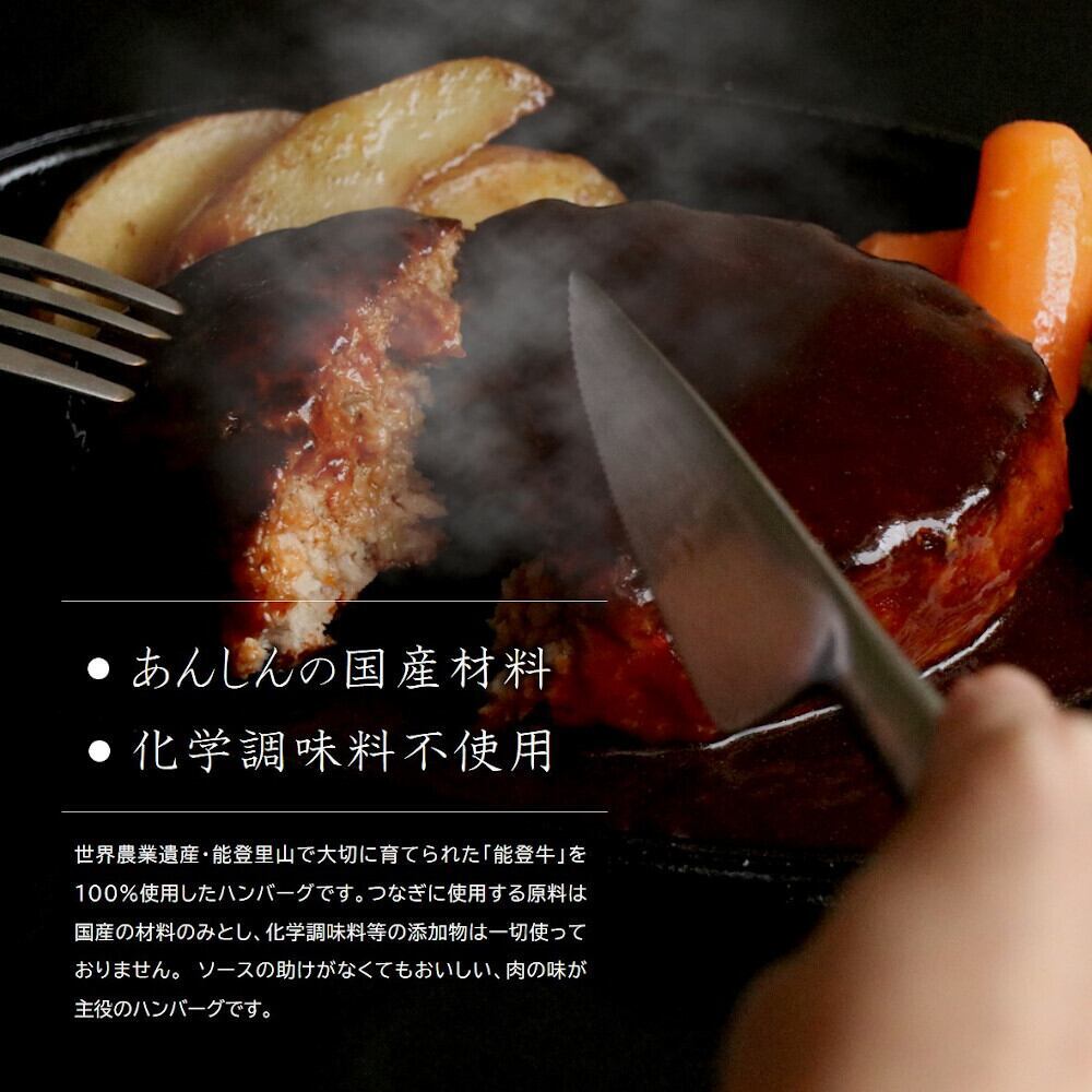 石川県産 能登牛100%グリルドハンバーグ 140gx4個 ※2025年1月以降に順次発送予定