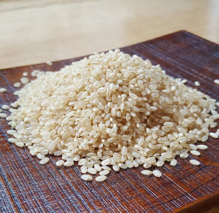 【能登半島地震復興支援】米 玄米 10kg/七尾産コシヒカリ 玄米10kg（10Kg×1袋） ※2024年10月下旬頃から順次発送予定