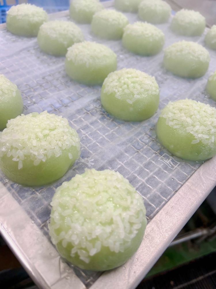 能登名物 縁賀良(えがら)饅頭 10個入｜まんじゅう 小豆 甘さ控えめ 和菓子 お菓子