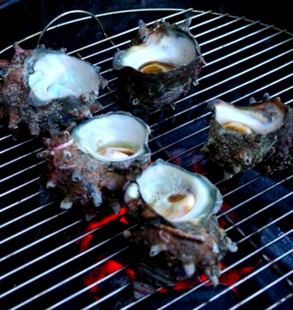 能登の朝どれ「いきいき七尾魚」さざえセット