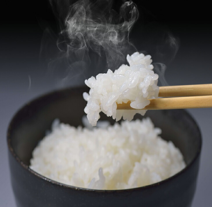 ＼1ヵ月以内発送／令和7年産米 七尾産こしひかり10kg(5kg×2) ｜お米 R7年産米 すぐ届く ブランド米 銘柄米  精米 白米 健康 コシヒカリ 5kg 5キロ 10kg 10キロ 能登半島地震 復興 復興支援 能登 石川県 七尾市 ※2025年10月下旬頃より順次発送予定