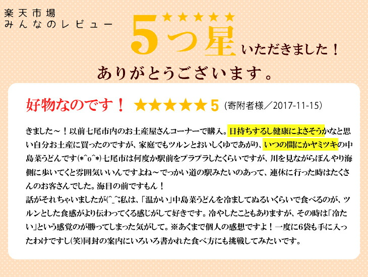 中島菜手延べうどん 180g×6袋入り｜うどん udon 乾麺 保存 夏 冷やしうどん 贈答 ギフト 野菜 麺 中島菜 能登 石川県 七尾市 能登半島 能登半島地震 地震復興 震災復興