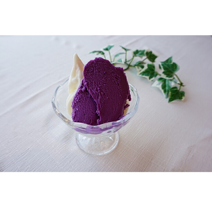 能登のジェラート詰め合わせ（１２個入）紫芋・塩バニラ・アップルパイ・金時さつまいも・ブルーベリー　アイス バラエティセット 贈答 ギフト