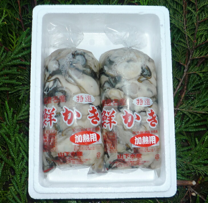 魚介類 牡蠣 能登かきむき身・加熱用［むき身450g×2個］｜牡蠣 むき身 カキ 加熱用 カキフライ 海鮮 魚介 国産 石川県 七尾市 能登 復興