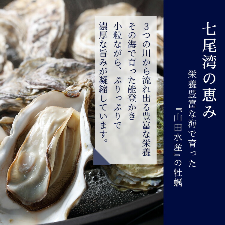 能登かき むき身 800g～850g（箱入り）◇ 石川県 世界農業遺産「能登の里山里海」からお届け｜ 加熱用 カキフライ 牡蠣鍋 能登 カキ 牡蠣 養殖 海鮮 魚介類 冷蔵 石川県七尾市 復興 復興支援 ※離島への配送不可 ※2026年1月下旬～4月下旬頃に順次発送予定