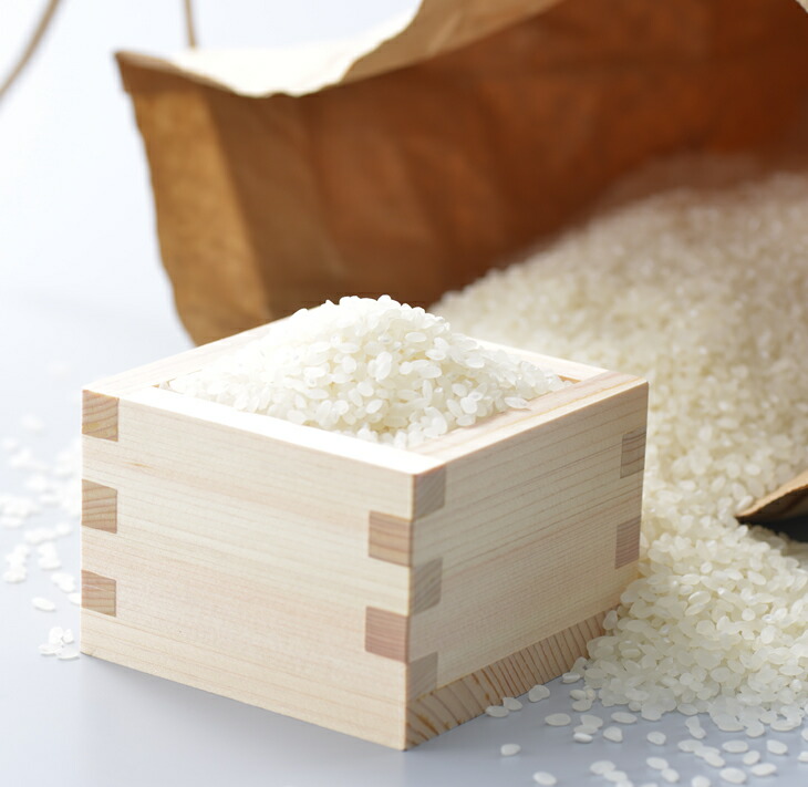 清水観音米こしひかり （特別栽培米7kg）｜ 精米 特別栽培米指定 石川県 七尾市 能登 ※2024年12月上旬頃より順次発送予定