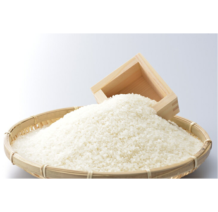 【発送時期が選べる】石川県七尾産精米コシヒカリ5kg・能登ひかり5kg セット 合計10kg◇ ※2024年2月上旬～7月中旬頃に順次発送予定