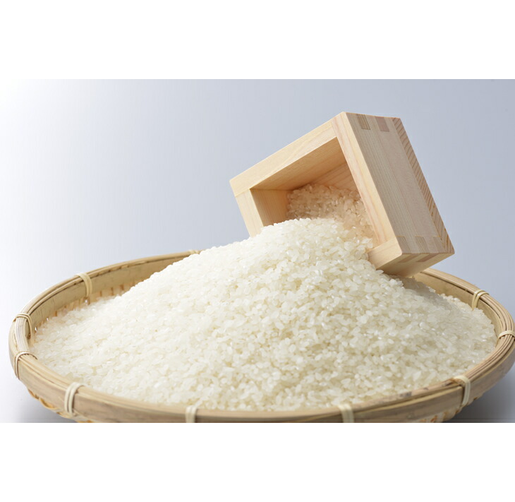 【発送時期が選べる】石川県七尾産コシヒカリ（精米10kg）◇ ※2024年2月上旬～7月中旬頃に順次発送予定