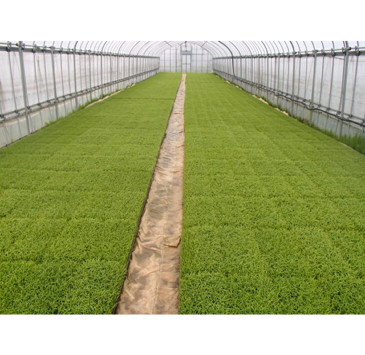 【発送時期が選べる】【新米】能登産コシヒカリ 能登夢米18kg（精米3kg×6袋）◆ ※2024年11月中旬～12月下旬頃に順次発送予定