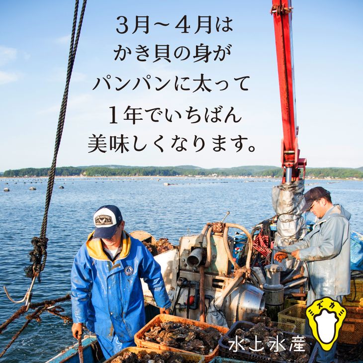 【能登半島地震復興支援】【発送時期が選べる】水上水産の能登のかき 一斗缶（約80～90個・ナイフ付） ※着日指定不可 ※離島への配送不可 石川県 七尾市 能登 ※2025年12月中旬～2026年4月下旬頃に順次発送予定