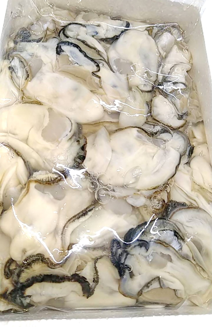 【能登半島地震復興支援】【発送時期が選べる】魚介類 牡蠣 水上水産の能登のかき むき身 約800g～900g入（30～40粒位） 牡蠣 養殖 冷蔵配送 不在日対応可能 貝 ※離島への配送不可 石川県 七尾市 能登 ※2025年12月中旬～2026年4月下旬頃に順次発送予定