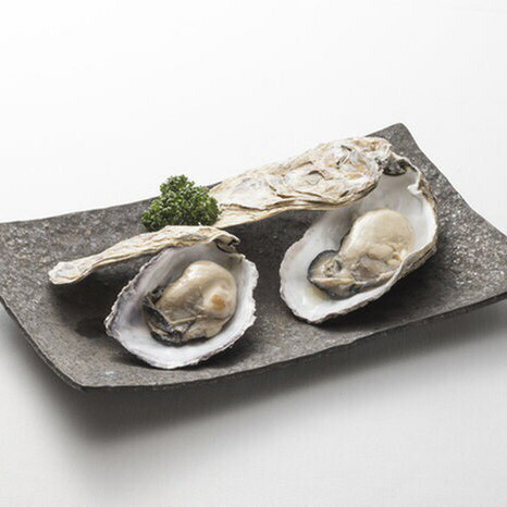 牡蠣の米油漬け2個入★能登の里海の濃厚な味わい★(130ｇ×2個) カキ オイル漬け 贈答 ギフト