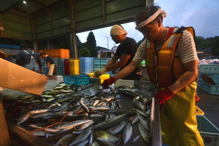 大型定置網 漁師体験（漁乗船体験コース）