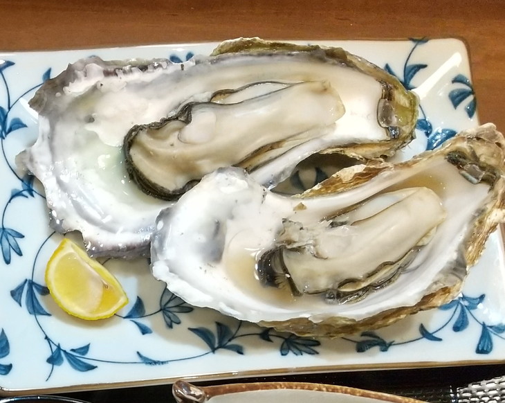 【9畳和室】能登の味覚プラン（朝夕2食付）ペア宿泊券◇｜宿泊 旅館 ペット 食事付き 牡蠣 小型犬 大型犬