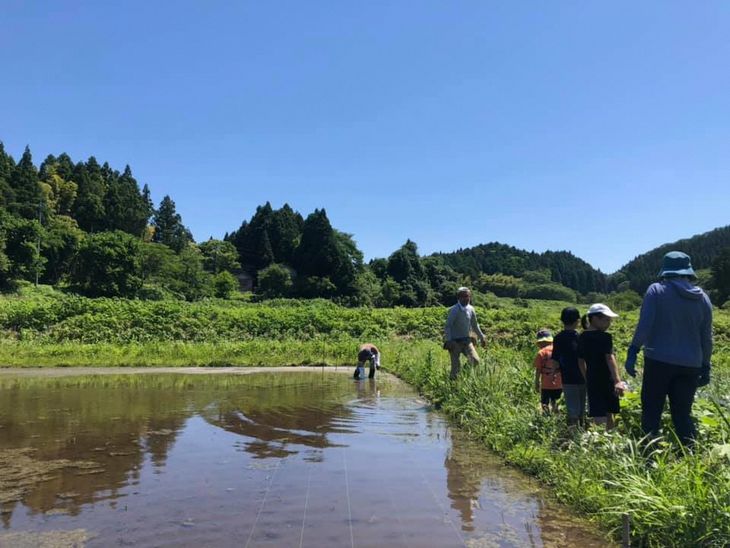 令和6年産 のと自然栽培米みのり10kg（5kg×2袋）白米 石川県 七尾市 国産 ※2024年12月頃より順次発送予定