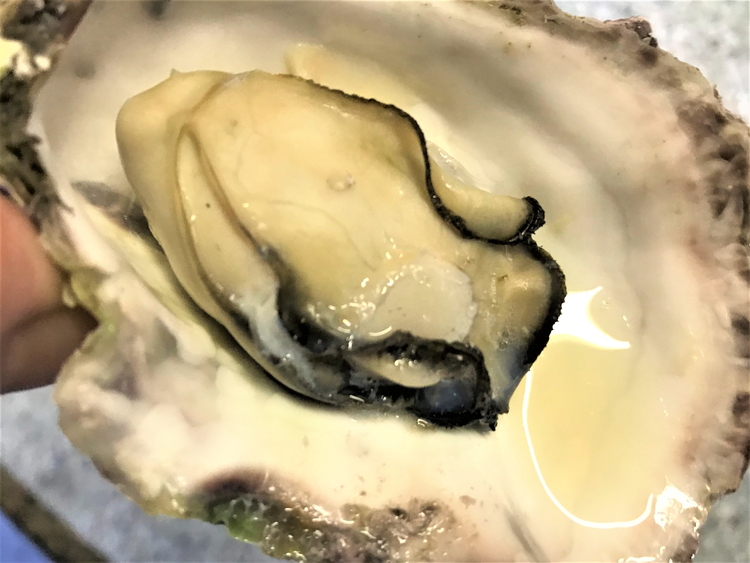 能登牡蠣のガンガン焼きセット20個(約2kg)(冷凍)(牡蠣ナイフ、片手用軍手付)